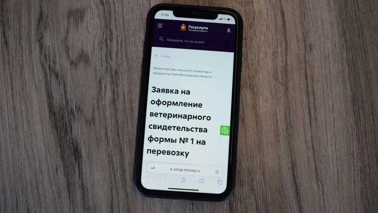 В Подмосковье запустили онлайн-сервис для получения ветеринарного свидетельства