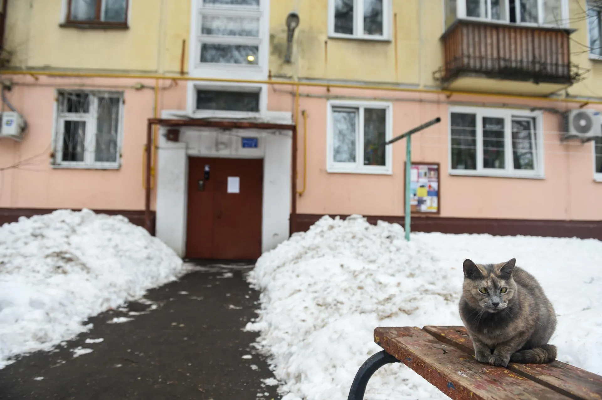 Николай Корешков