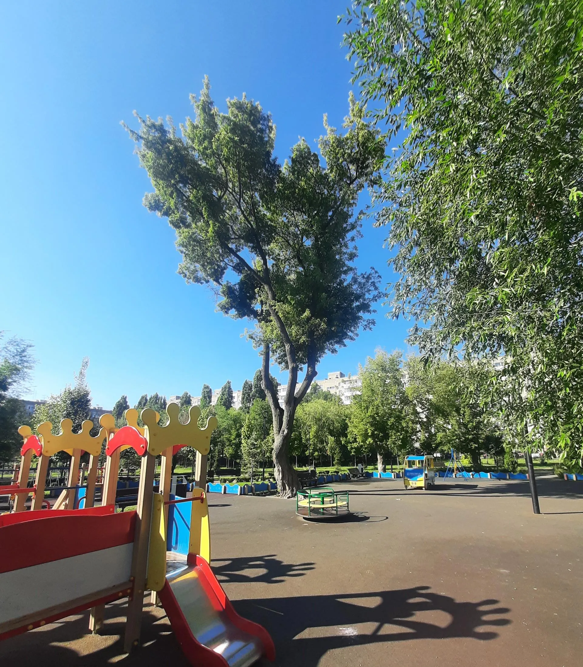 Myolt. Собственная работа