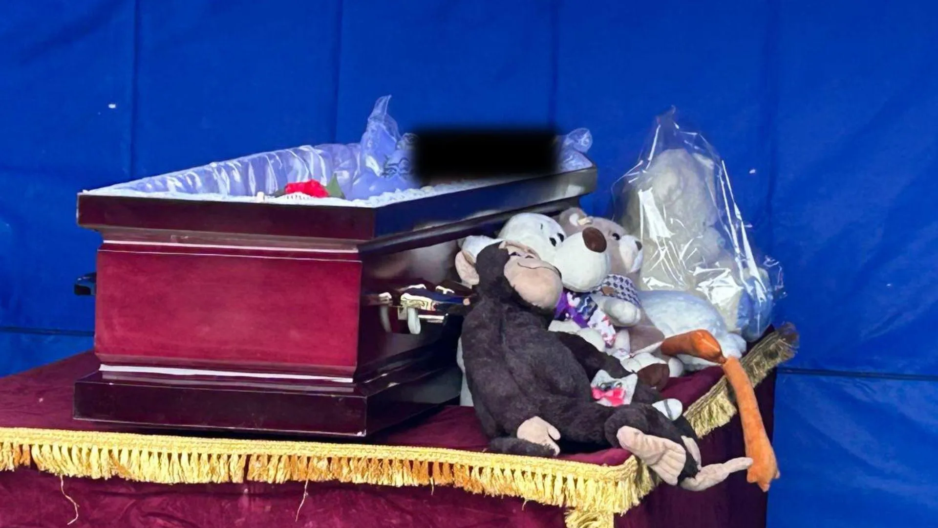 «Ручки перемотаны скотчем, лицо тоже»: волонтер — о поиске убитого педофилом Паши