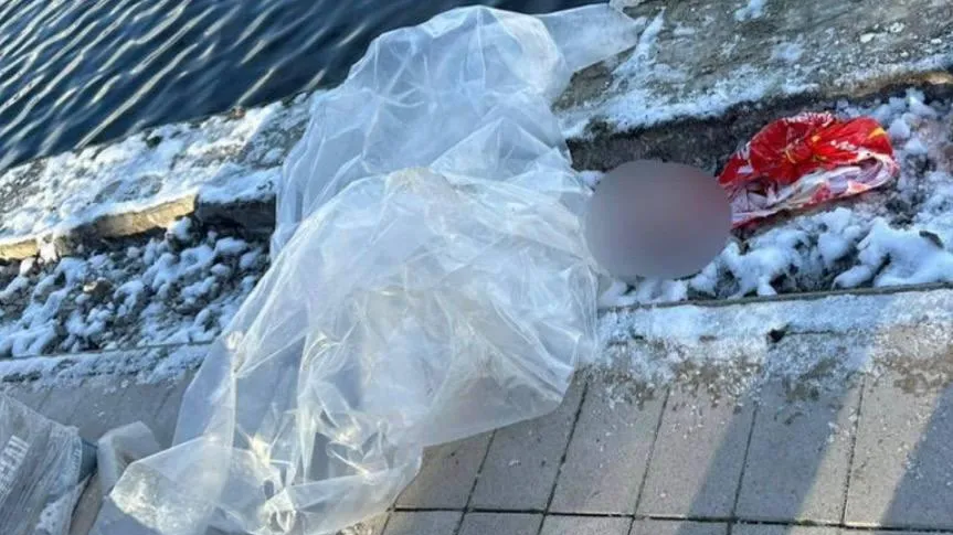 «Голова ребенка в рюкзаке»: что известно о страшной находке на востоке Москвы