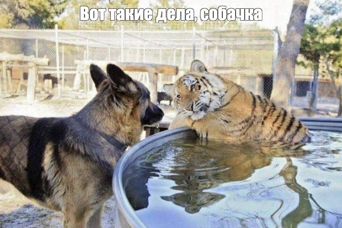 сгенерировано ИИ