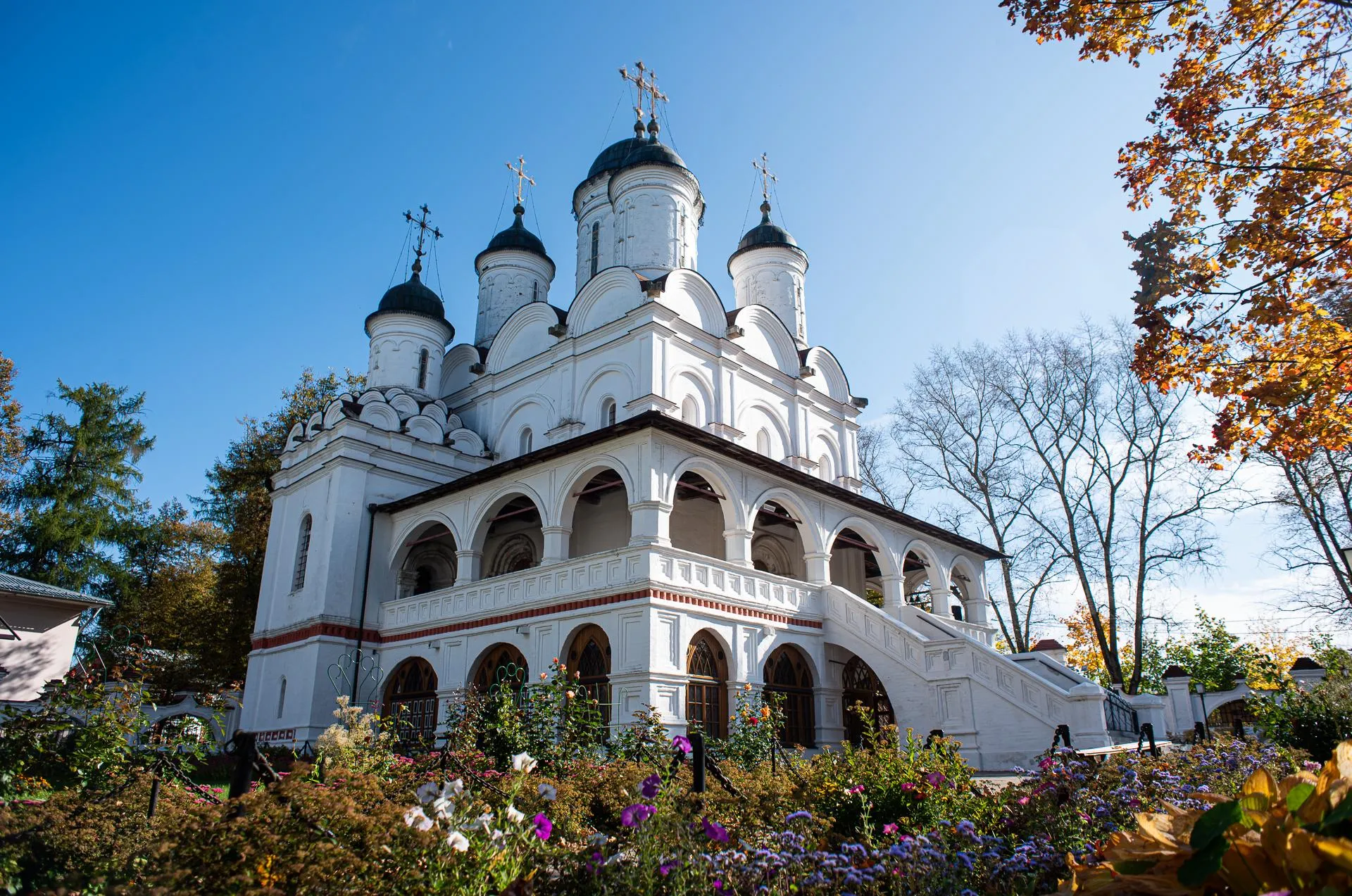 Мария Шуревская