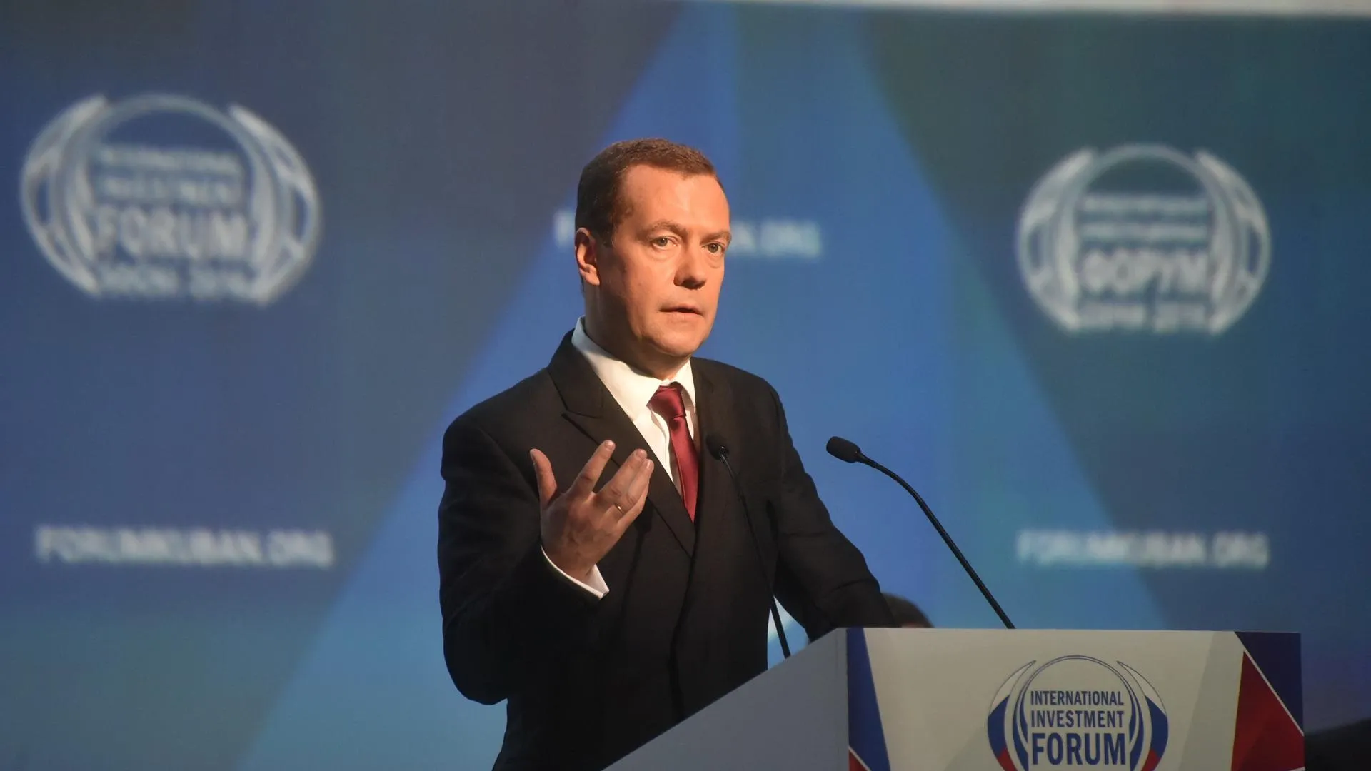 Дмитрий Медведев сообщил том, как власти РФ будут бороться с исчезновением лесов