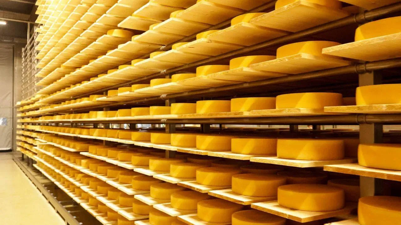 Экспорт продукции АПК Подмосковья в Казахстан увеличился на 9,8%