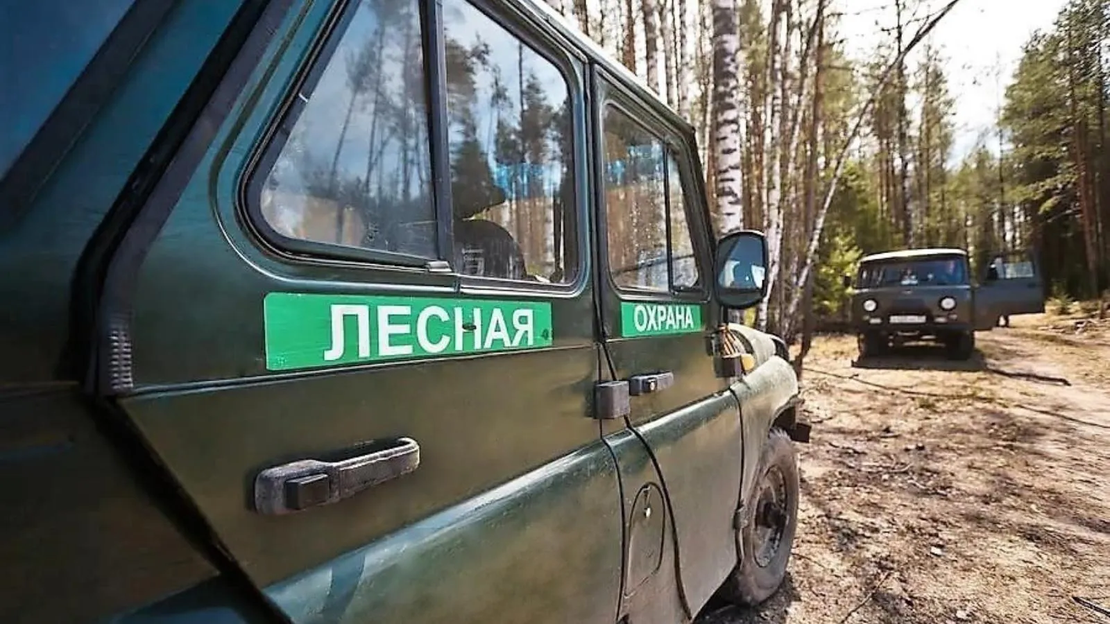 Почти 950 патрулирований провели в лесах Подмосковья за прошедшую неделю