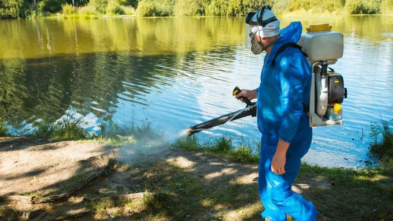 Более 110 нарушений выявили на пляжах Подмосковья