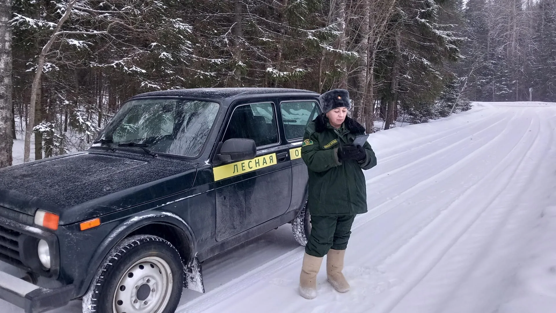 400 маршрутов наземного патрулирования проложили по территории Волоколамского лесничества