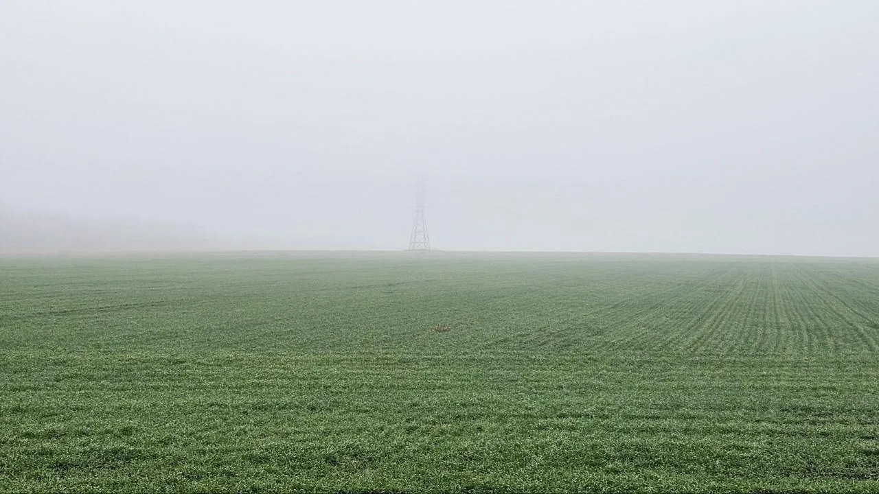 Аграрии Подмосковья посеяли более 97 тыс га озимых культур