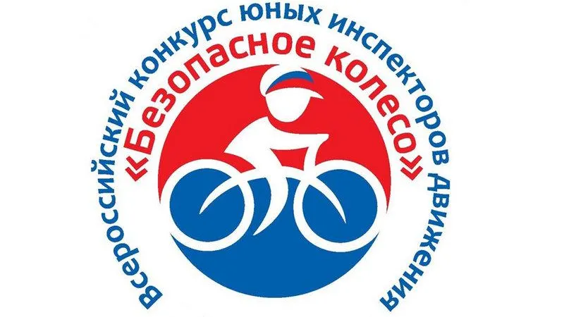 Соревнования отрядов юных инспекторов движения пройдут в Подольске 26 и 27 февраля