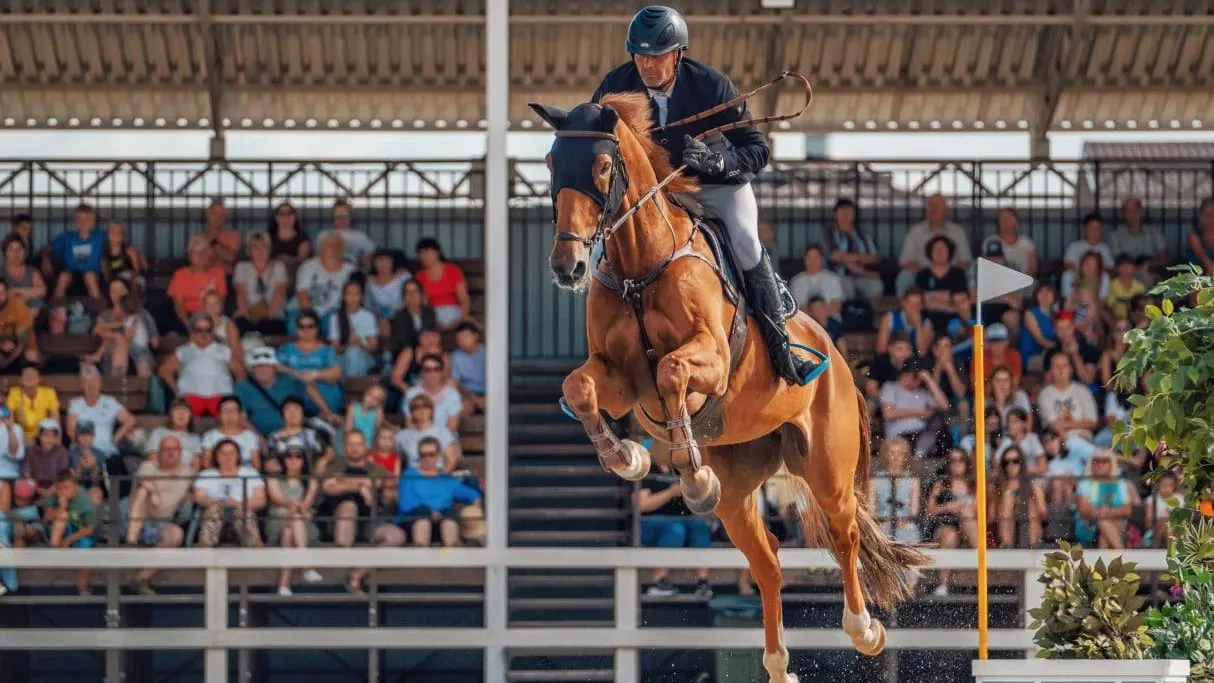 Пресс-служба Horseka sport