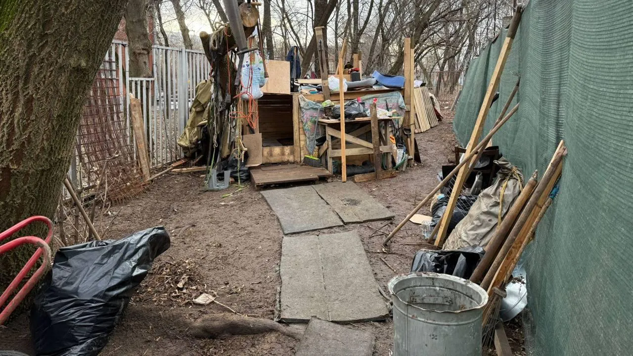 В Москве мужчина незаконно содержал 13 собак на общей площадке для выгула