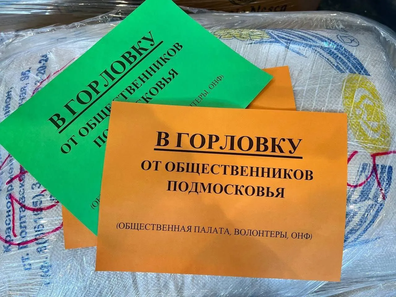 Пресс-служба Регионального отделения ОНФ в Московской области