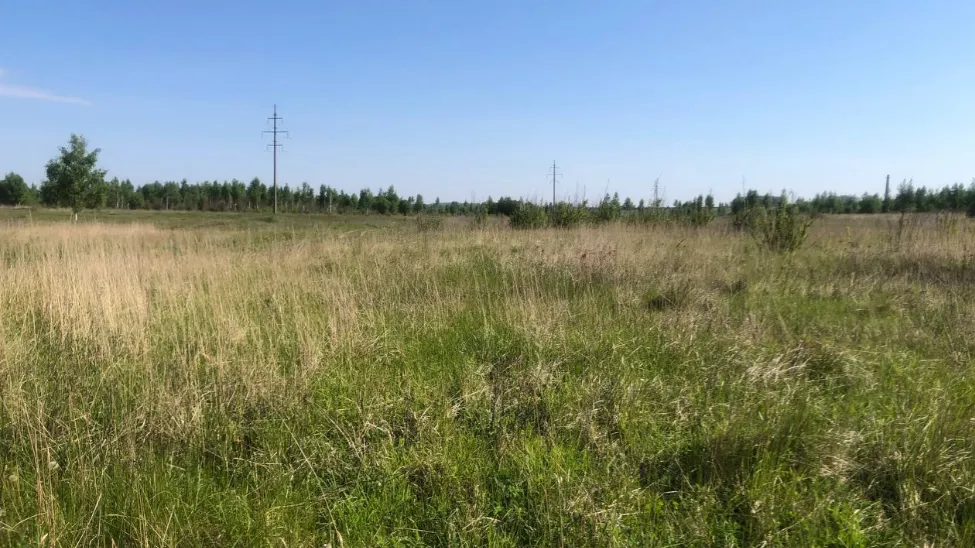 В Зарайске на торгах реализовали самый бюджетный участок в аренду за 60 тыс в год