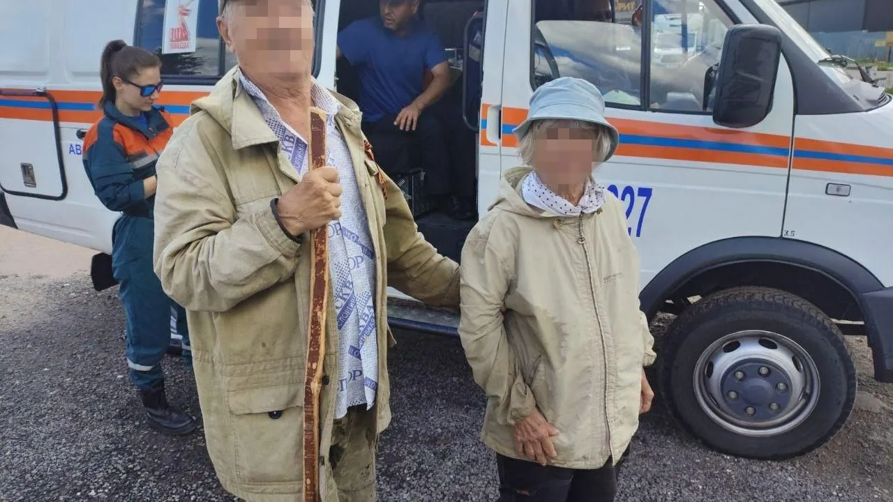 За сутки спасатели нашли 3 потерявшихся людей в лесах Подмосковья