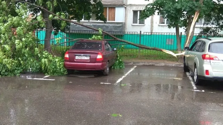 Ветка дерева упала на автомобиль в поселке Октябрьский Люберец