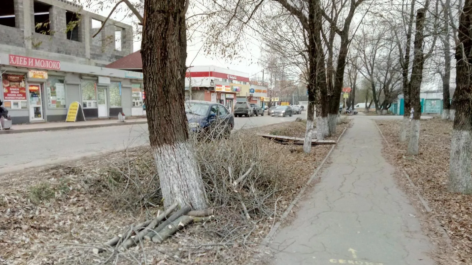 В Подольске очистили канаву для дождевого стока от веток по просьбе жителя