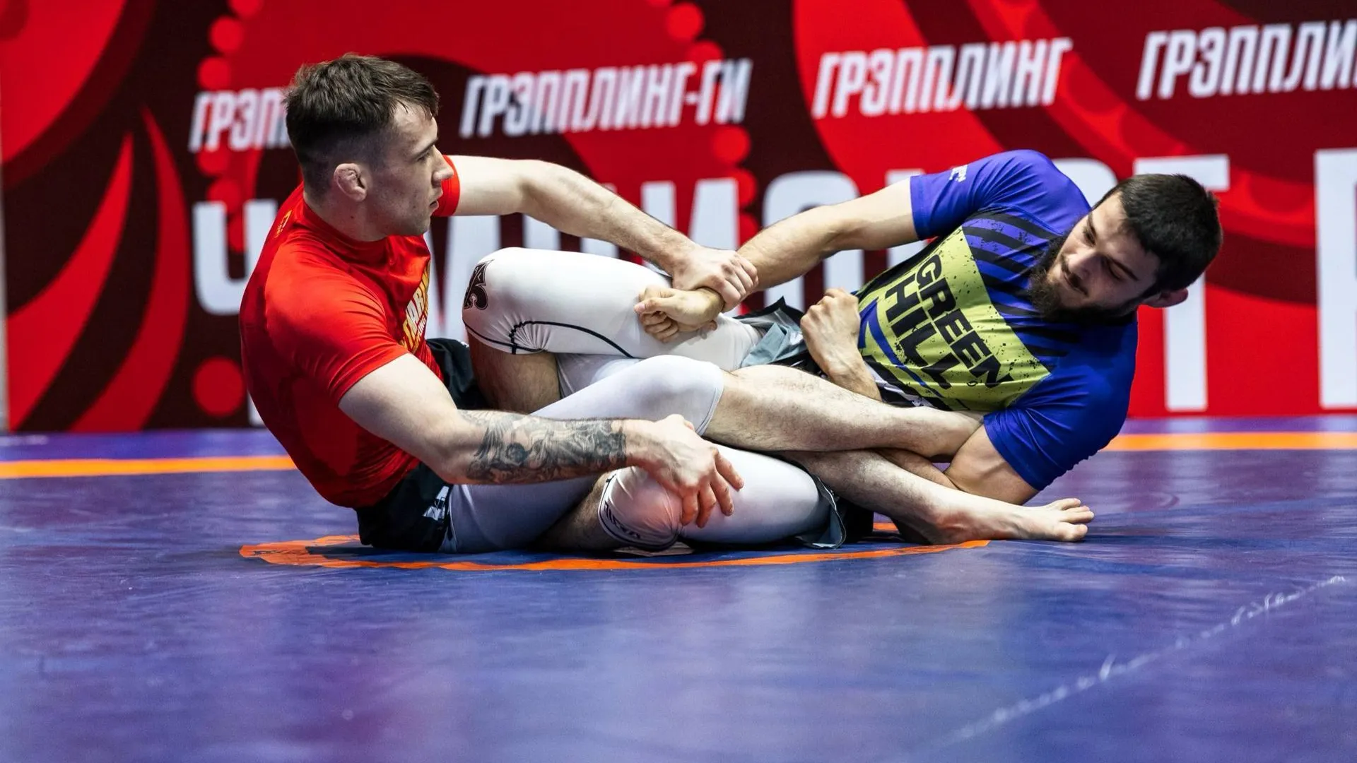 Подмосковная сборная завоевала восемь медалей на чемпионате России по грэпплингу