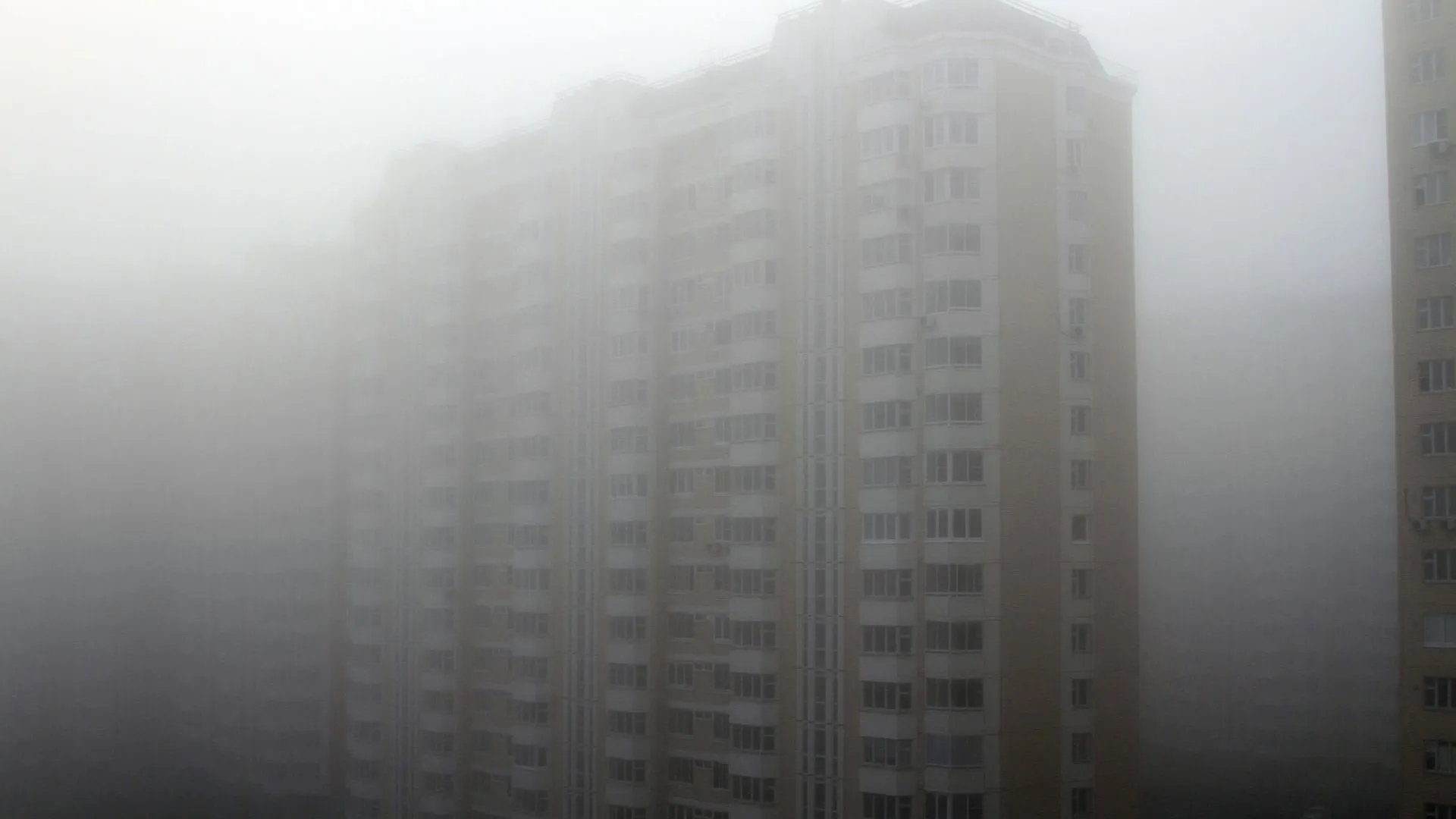 МЧС предупредило о плохой видимости из‑за тумана в Подмосковье
