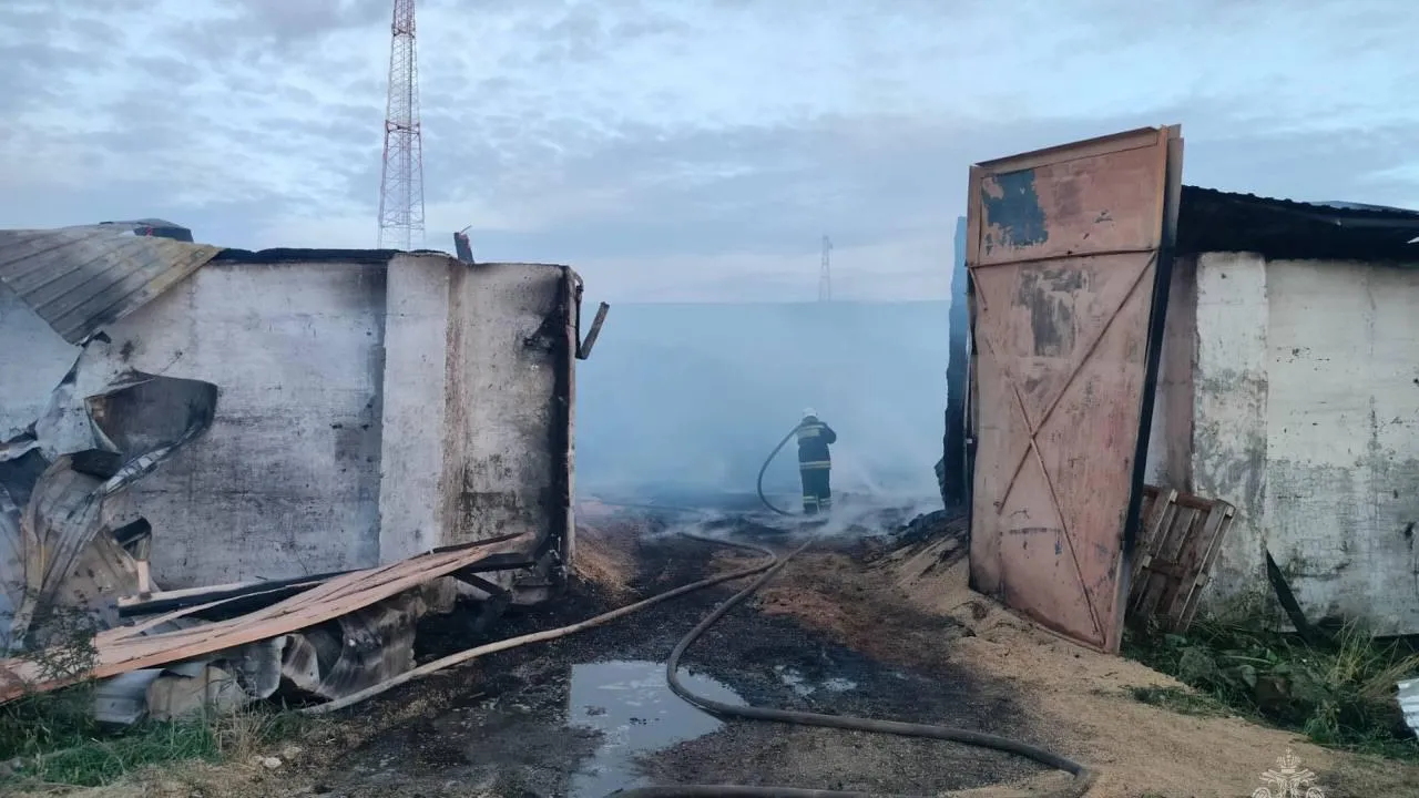 Хранилище с 3 тыс тонн гороха загорелось в Красноярском крае