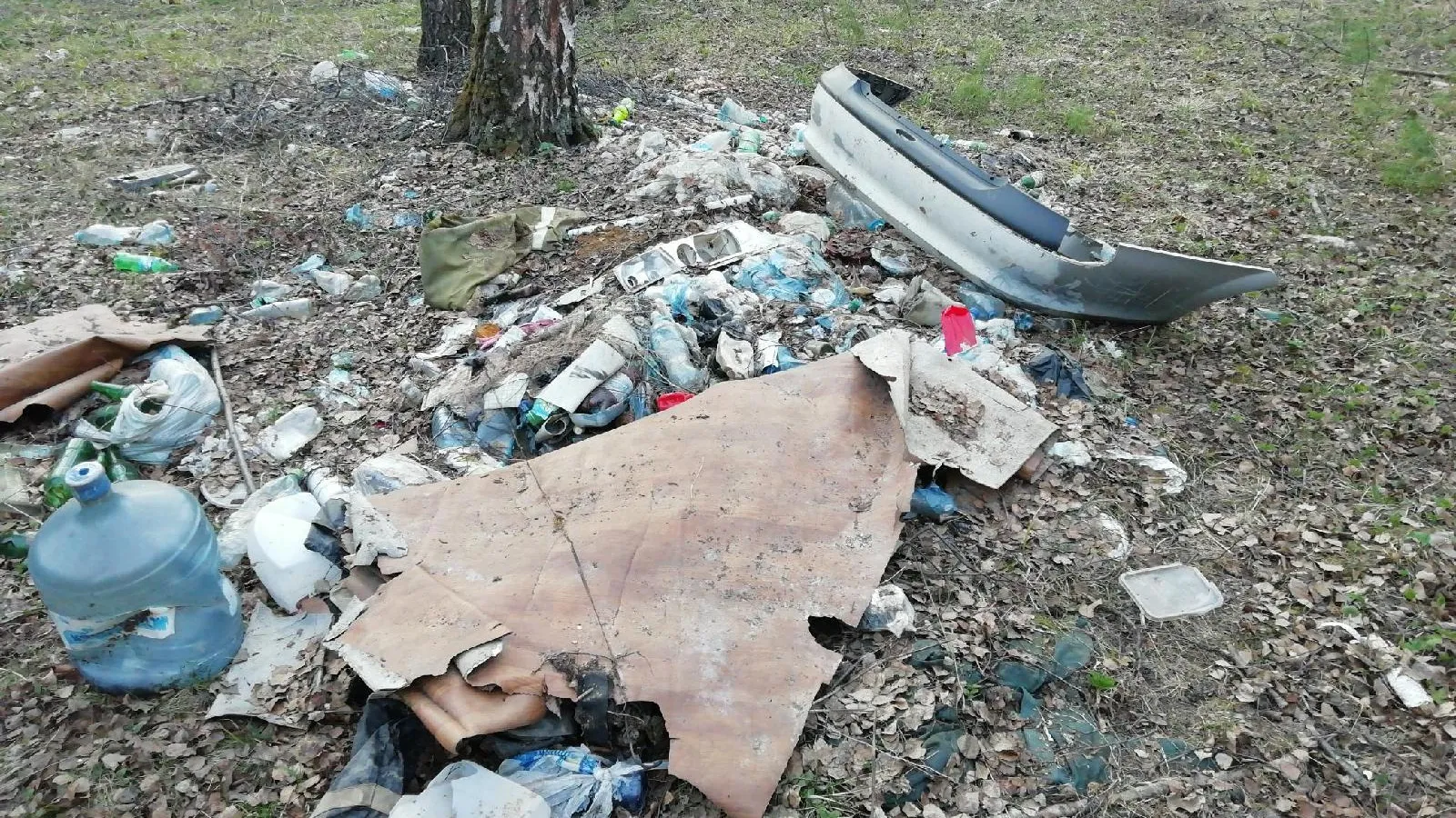 Около 1,2 тыс нарушений чистоты устранили в Подмосковье за майские праздники