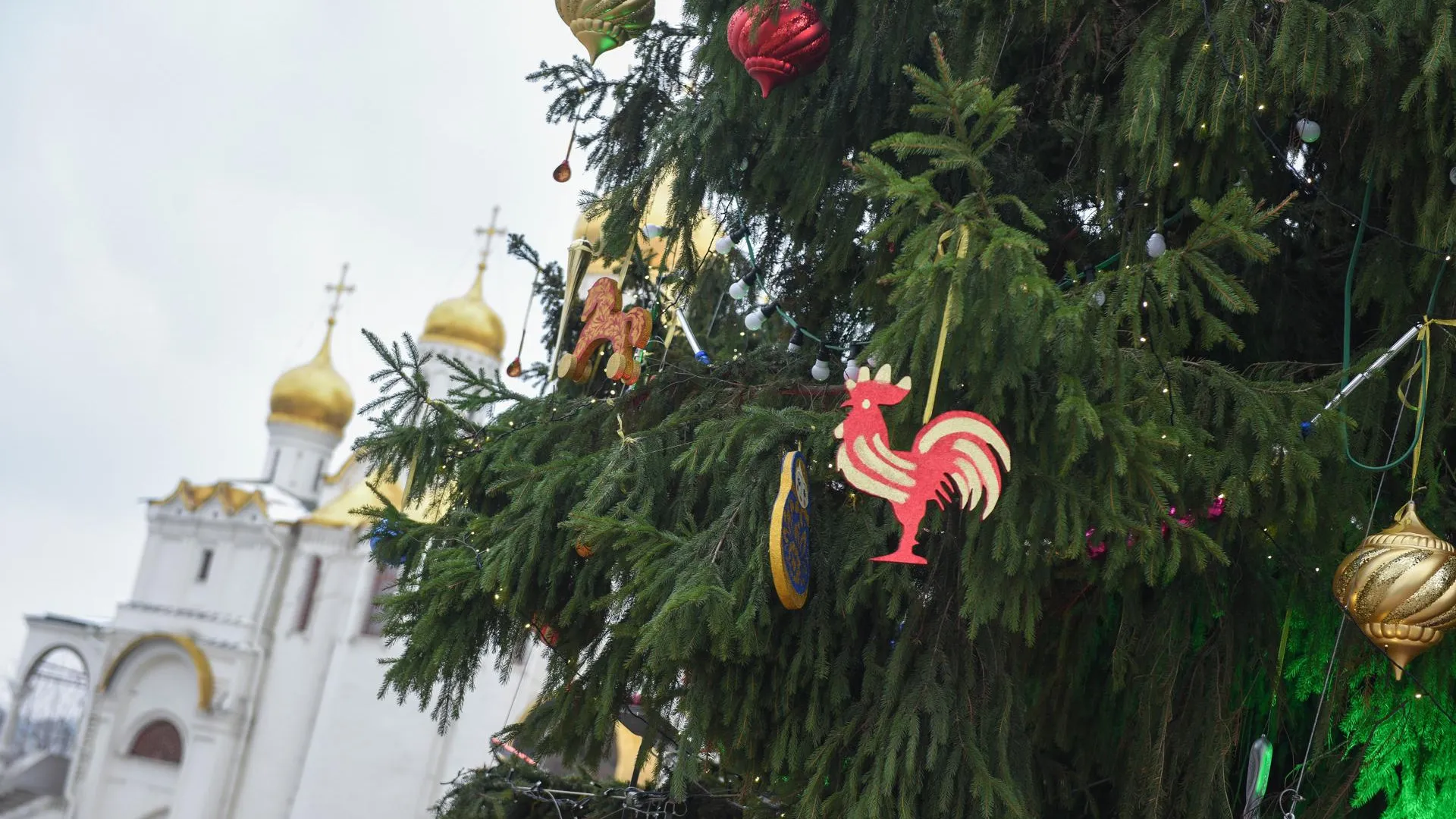 Из кремлевской елки сделают настенные часы для подмосковных детдомов