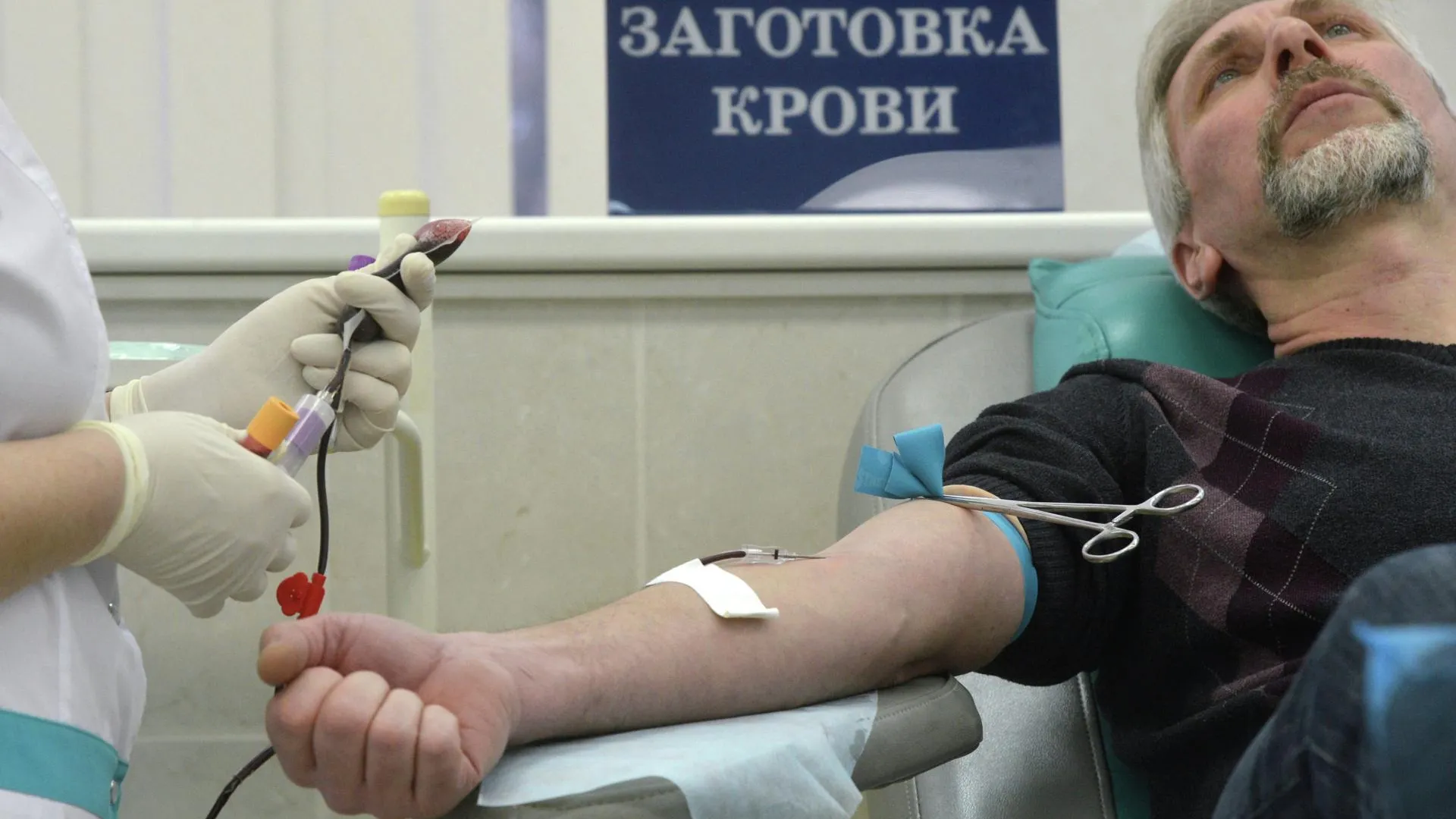 Международная конференция по переливанию крови пройдет в Подмосковье 1–3 ноября
