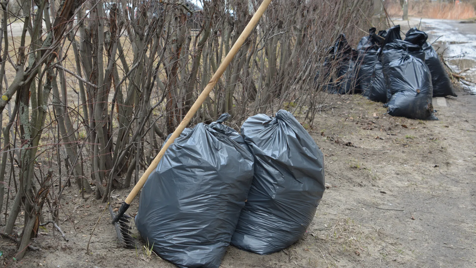 Более 30 куб метров мусора собрали общественники в Богородском округе