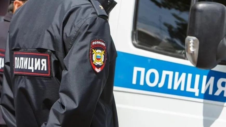 463 преступления организованных групп раскрыли в Подмосковье в 2022 году
