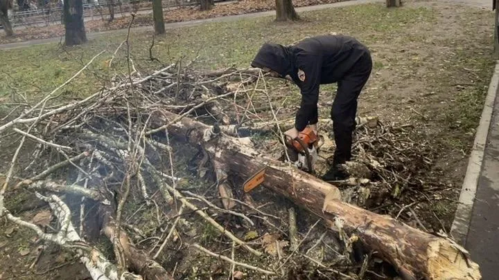 В Подмосковье коммунальщики устраняют последствия непогоды
