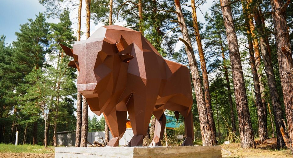 В поселке Осаново-Дубовое в Шатуре установили памятник Зубру