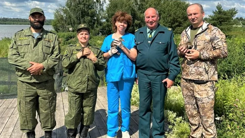 В Дмитровском округе утят выпустили в озеро для восстановления популяции диких уток
