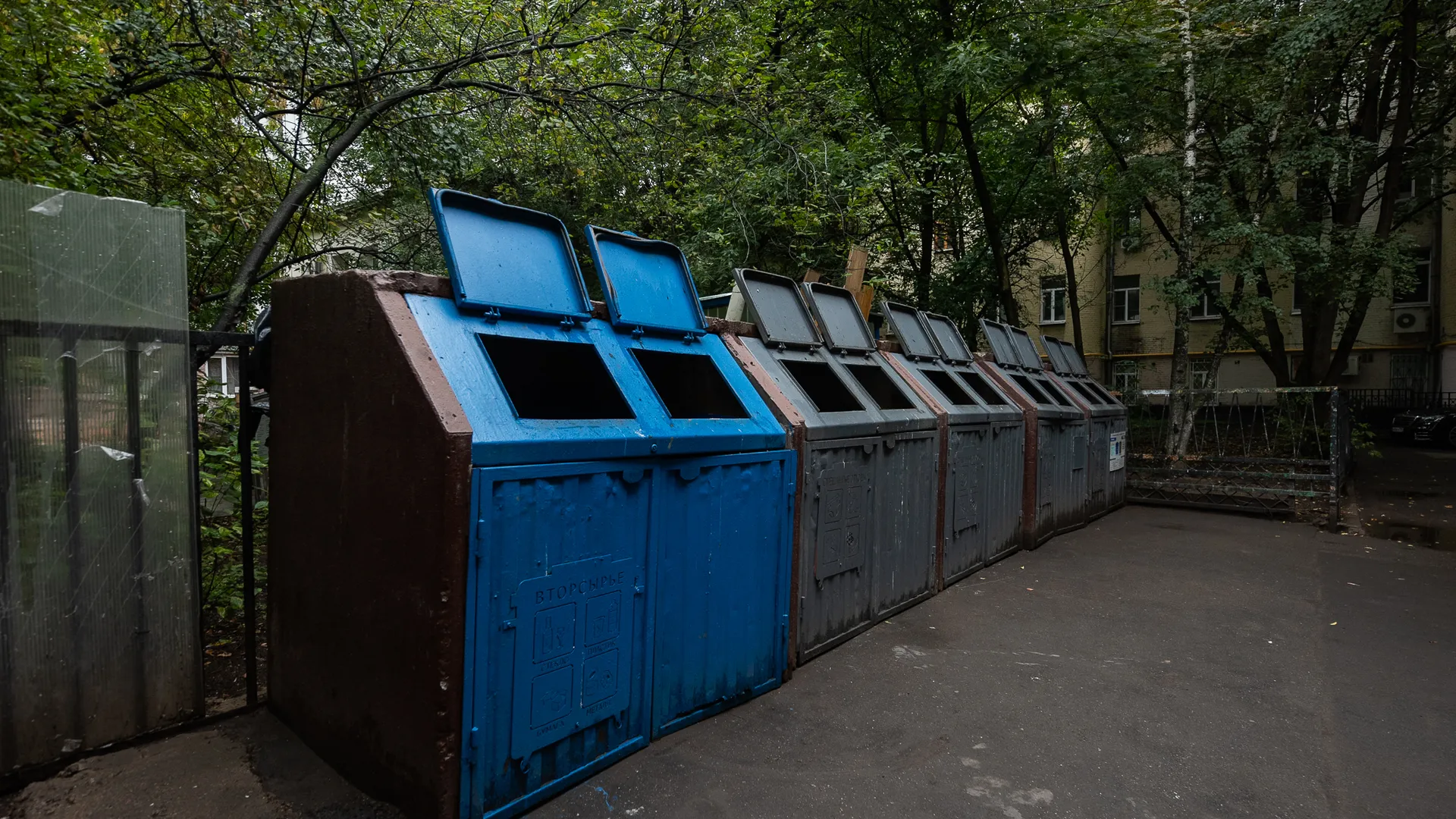 Девушка случайно выкинула в мусорку 6 млн руб наследства, а соседи похитили их