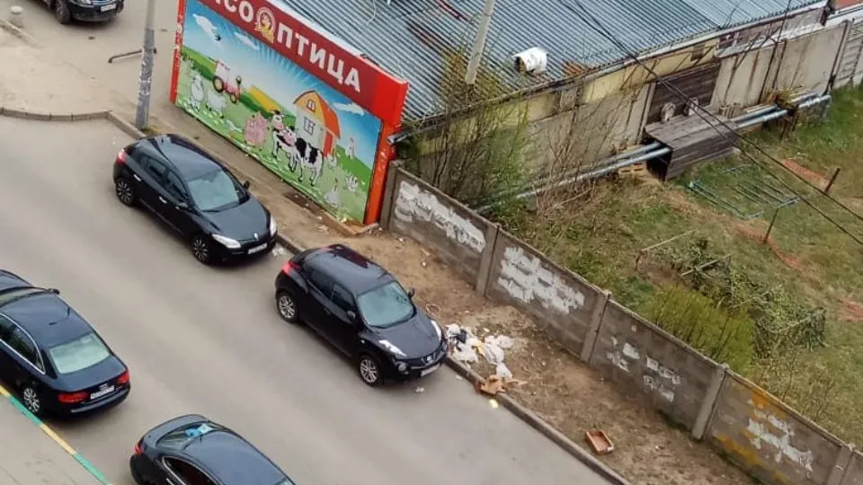В Подольске сотрудники магазина выбивали на улице из коробок сотни живых тараканов