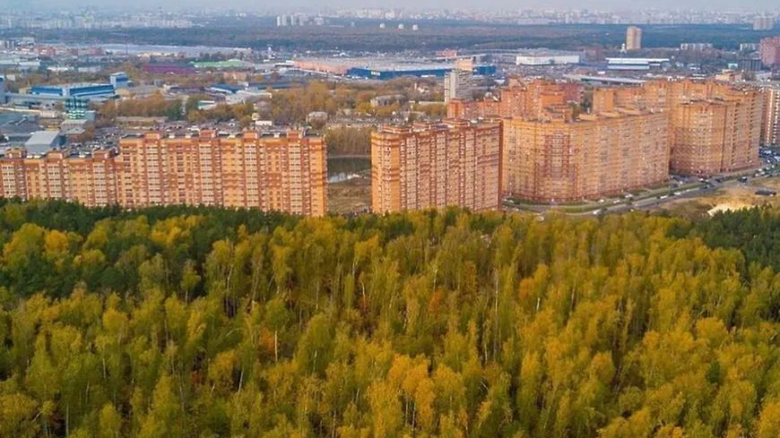 Система навигации пешеходных маршрутов появится в Котельниках