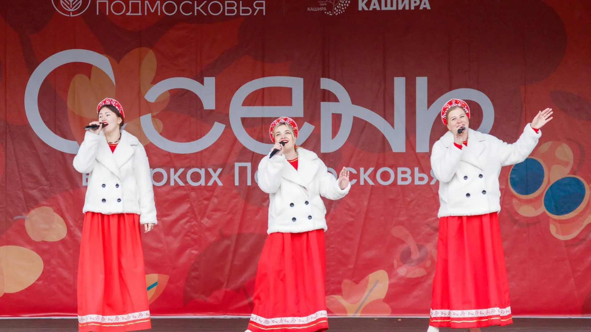 День народного единства отметили в Кашире