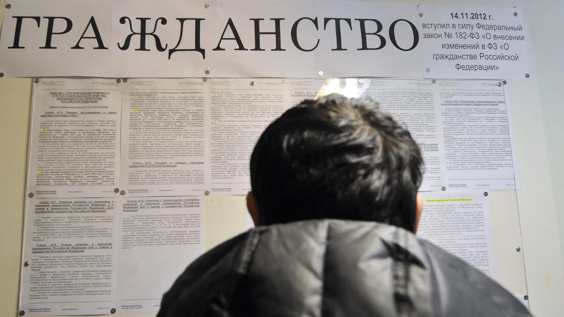 Власти ввели ограничения для желающих переселиться в Россию