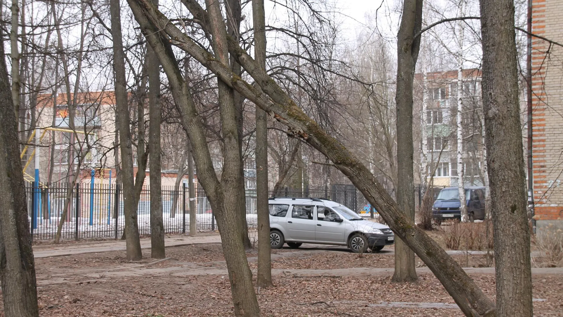 В нескольких микрорайонах Балашихи сильный ветер повалил деревья