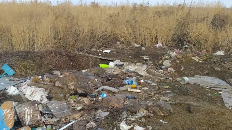 Около 40 несанкционированных свалок ликвидировали в Люберцах