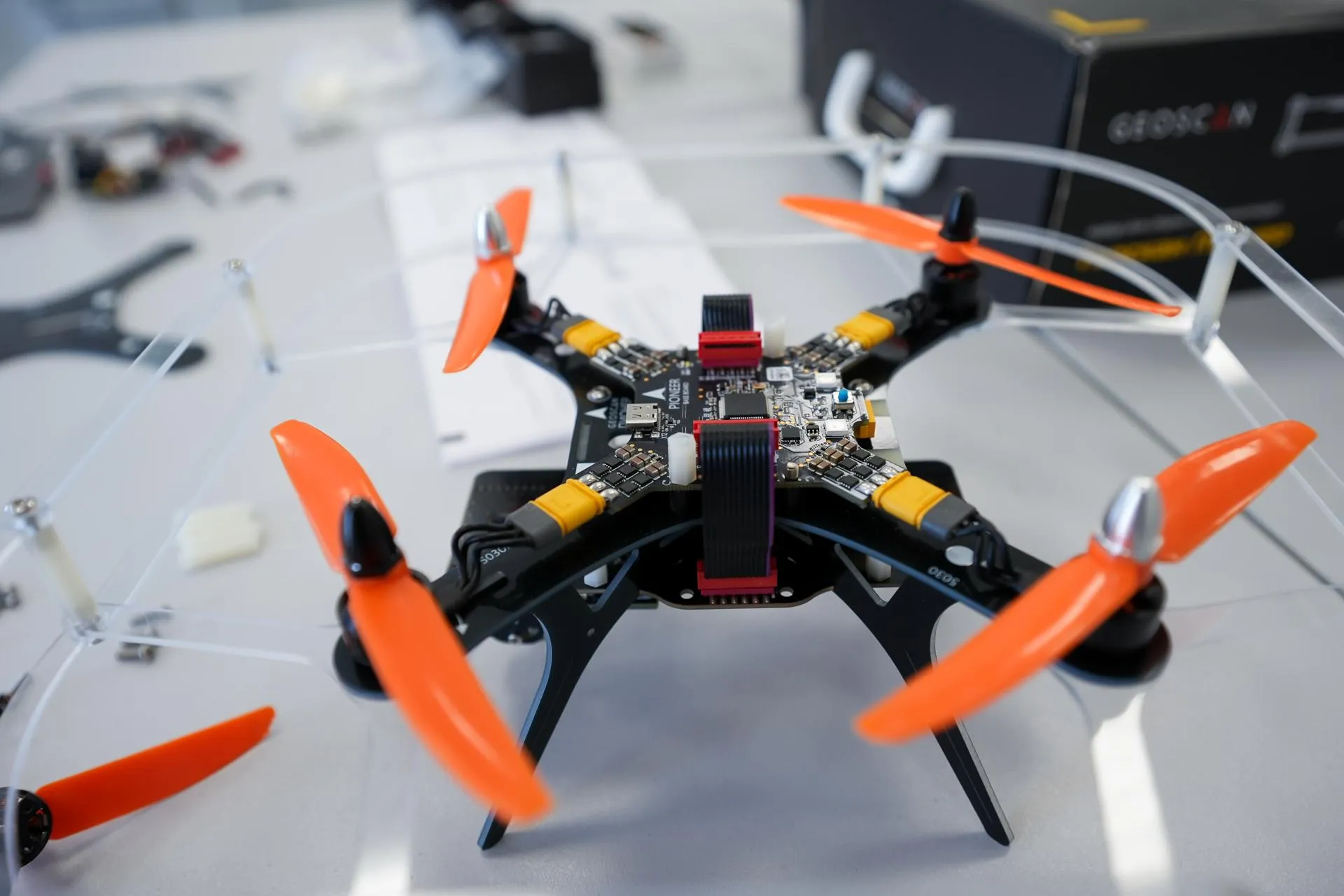 Александра Степанова