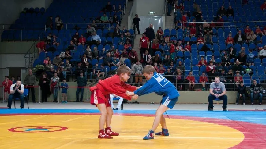Чемпионат Подмосковья по самбо пройдет во Дворце спорта Люберец 3 ноября