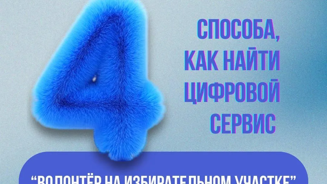 Сервис «Волонтер на избирательном участке» поможет в дни голосования