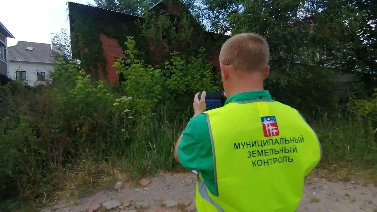 В Подмосковье выявили 36 тыс участков с нарушениями земельного законодательства