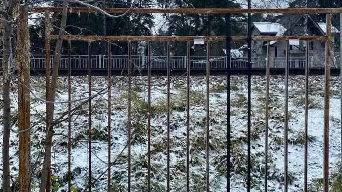 Более 20 «опасных троп» устранили вблизи ж/д путей в Подмосковье с начала года
