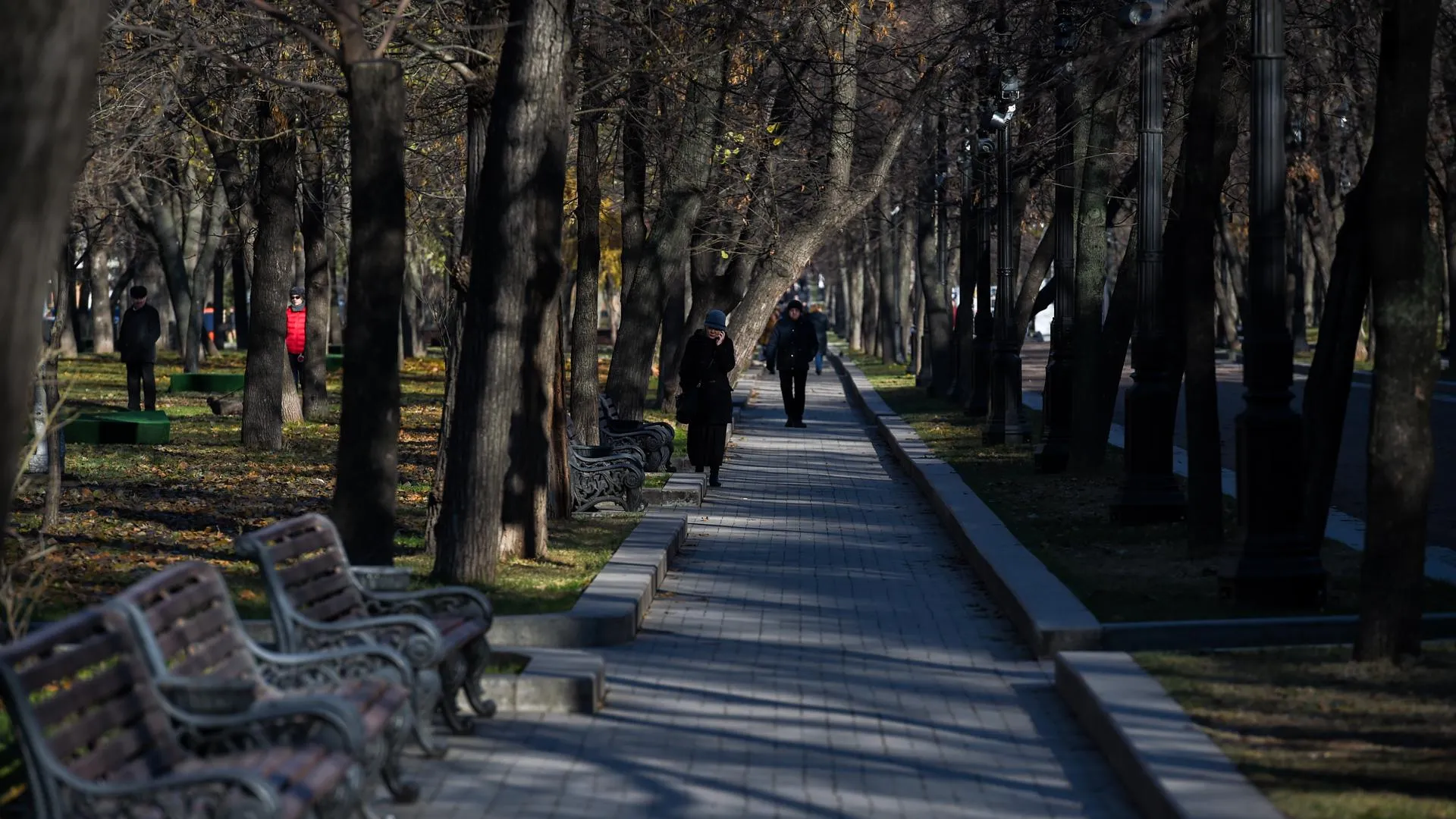 Квесты, мастер‑классы и конкурсы пройдут в парках Подмосковья ко Дню космонавтики