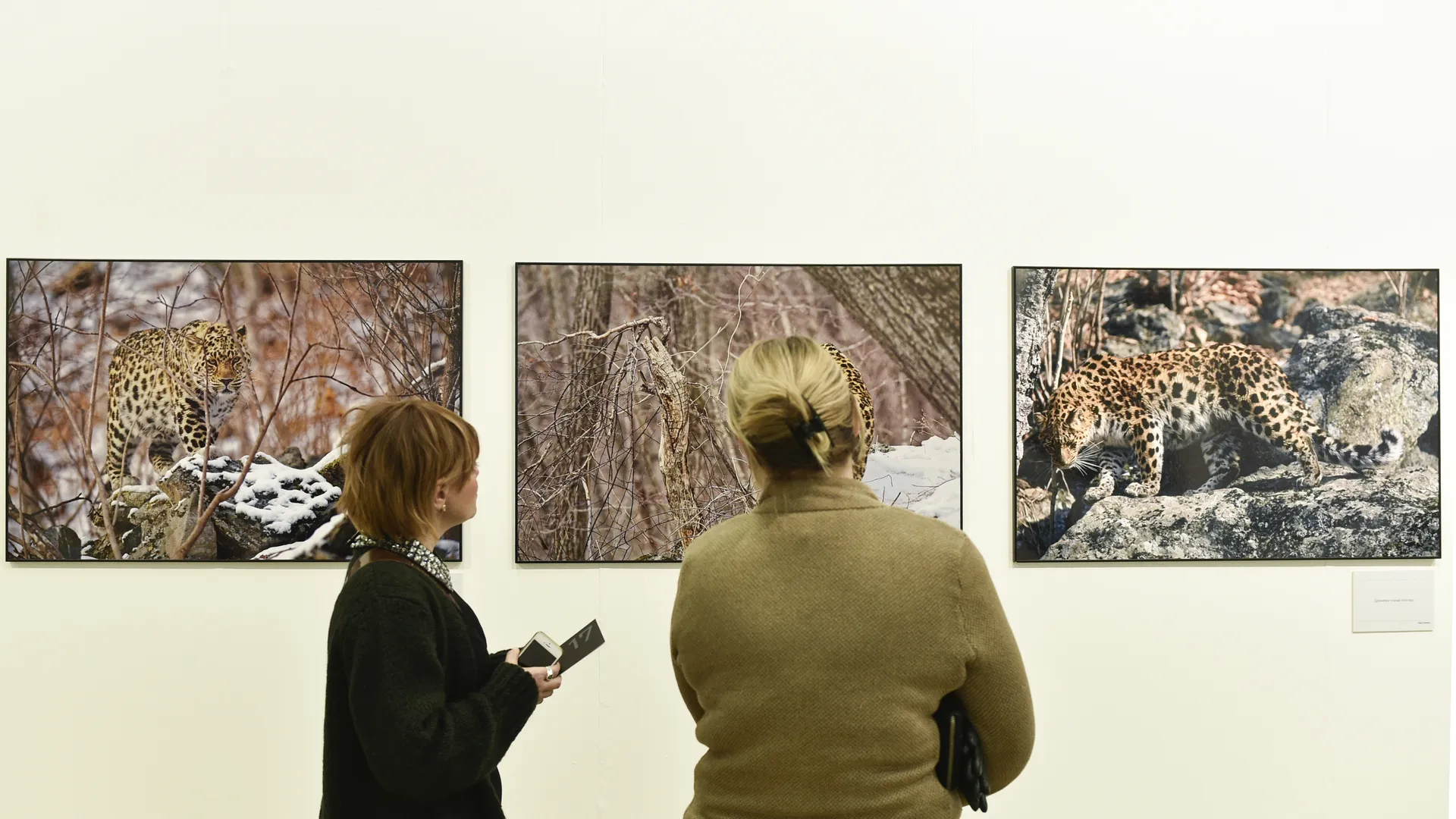 Фотовыставка «Любимый парк. Прогулка в старину» начала работу в Подольске