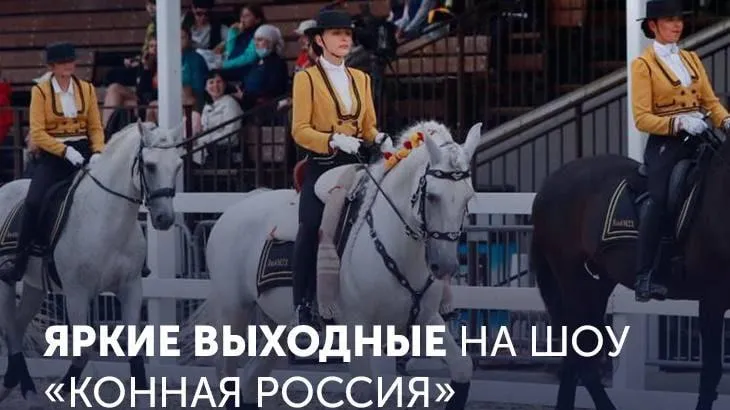 Шоу‑выставка «Конная Россия» начнется в Подмосковье в пятницу
