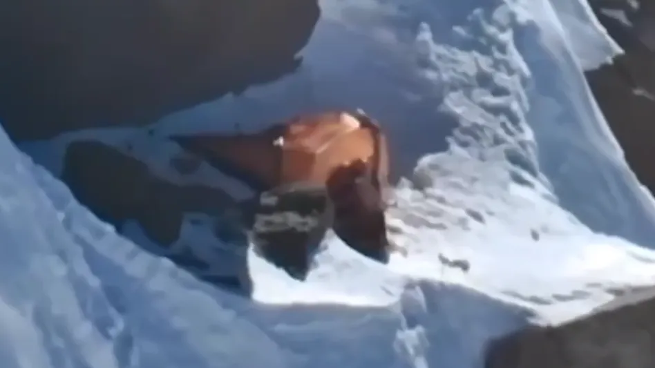 скриншот