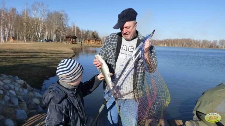 сайт базы