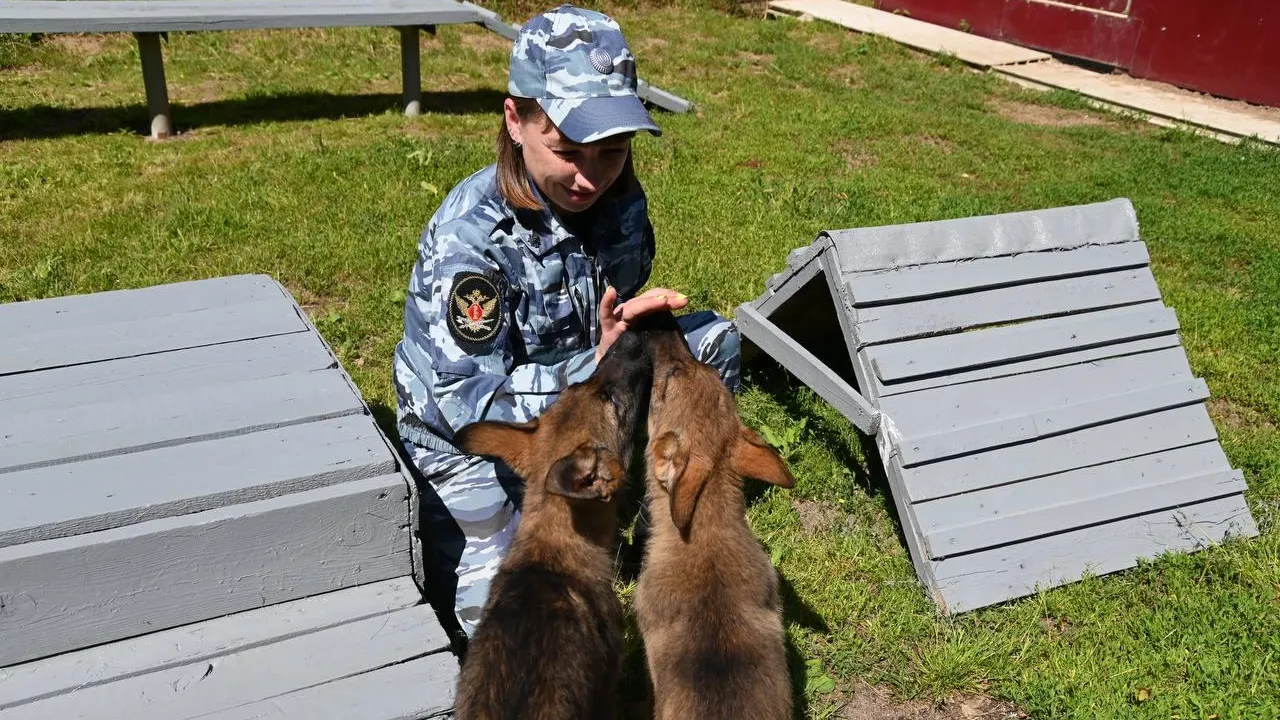 Выпуск служебных собак прошел в племенном питомнике при ИК‑6 УФСИН в Подмосковье